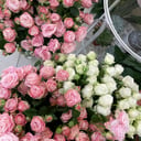 Цветочный мир