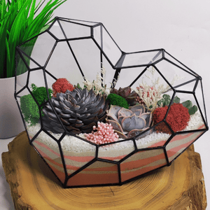 Флорариум сердце