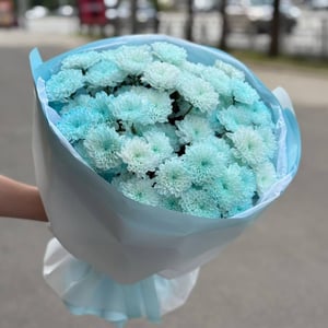 Монобукет из 7 голубых хризантем