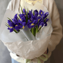 Букет из 15 ирисов