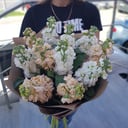 Букет «Ароматная матиолла» из экзотических цветов