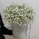 Шляпная коробка с цветами «Белое облачко» из гипсофил