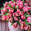 Тюльпаны Columbus в шляпной коробке