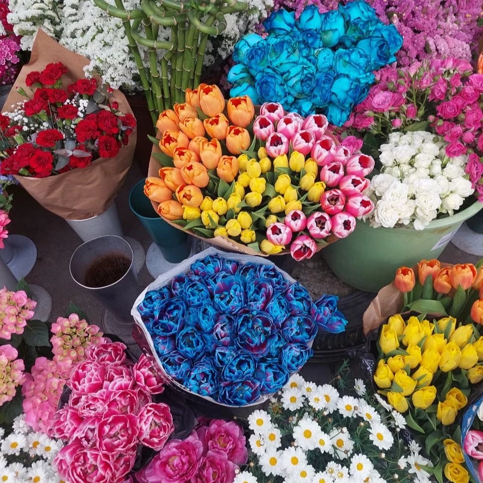 Bouquet de fleurs à Toulon
