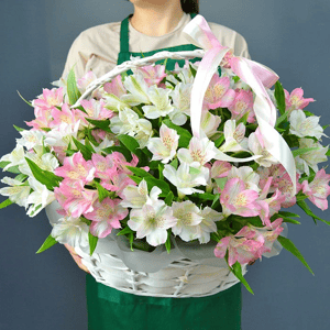 Альстромерия в корзине