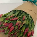 Букет «51 красный тюльпан»