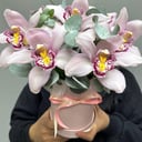 Шляпная коробка с цветами «Орхидея в коробке»