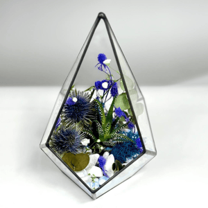 Звезда полуночи