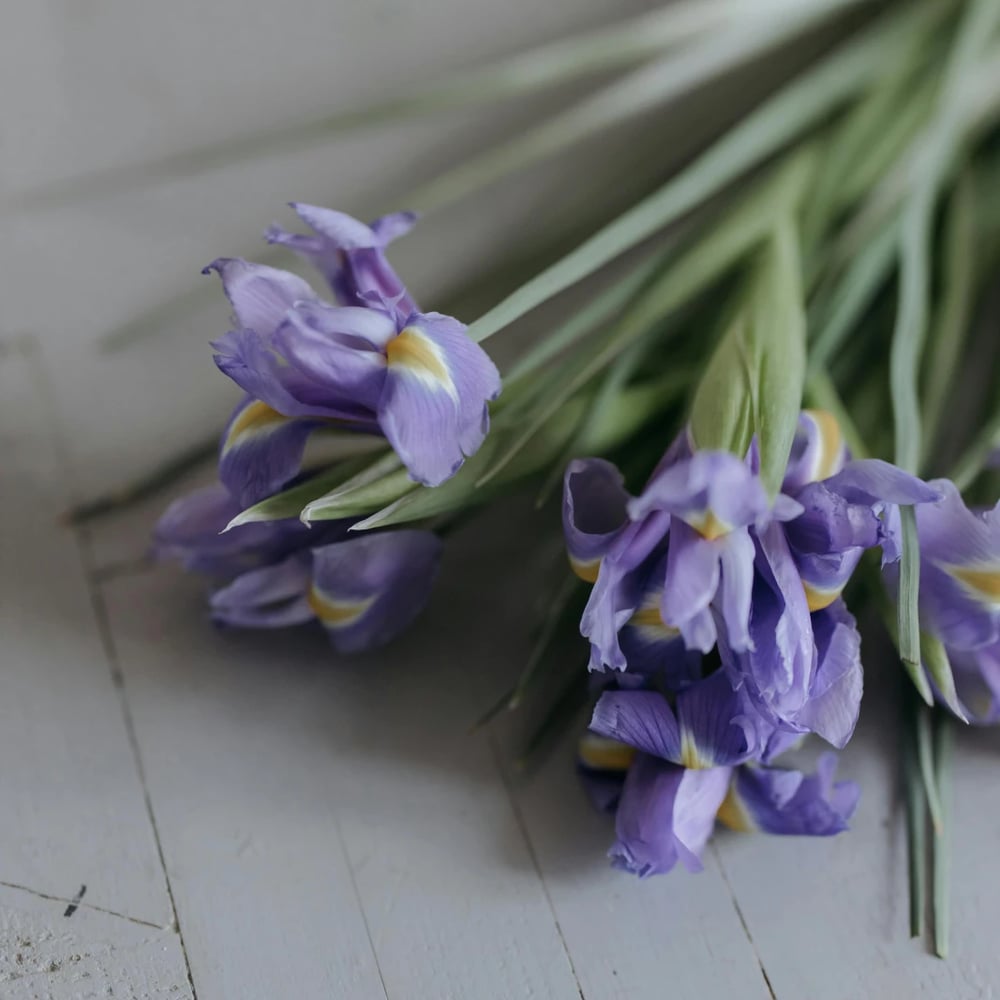 Iris bouquet delivery