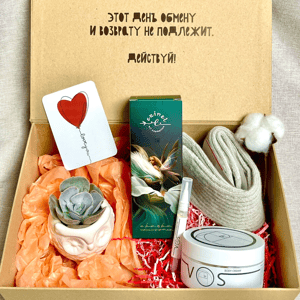 Совы хранят мечты