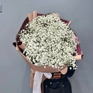 Букет из 9 гипсофил