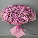 Букет Гипсофилы