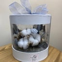 Нежнее нежного