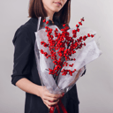 Букет «Илекс 3шт»