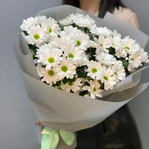 Букет из 7 хризантем
