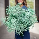 Букет «Зеленая гипсофила 9 штук»