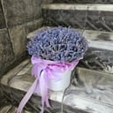 Фиолетовая коробка