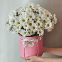 Кустовые хризантемы в шляпной коробке