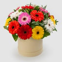 Шляпная коробка с цветами «Букет в коробке "Песня звезд" (мини)» из гербер