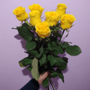 Букет «7 жёлтых роз Эквадор»