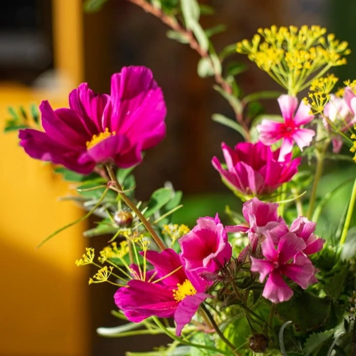 Blumen nach Österreich schicken