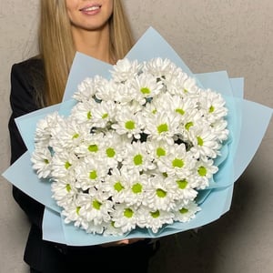 Букет 9 ромашковых хризантем