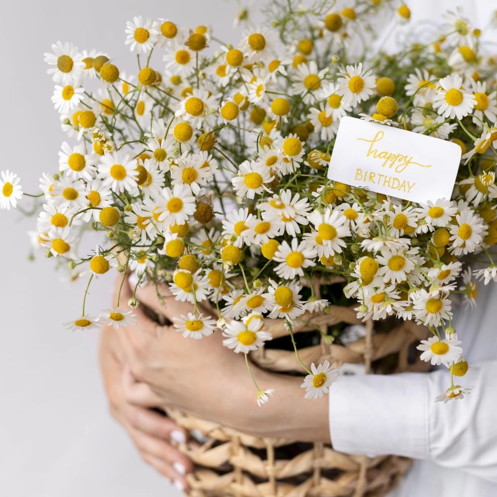 Chamomile bouquet with complementary blooms