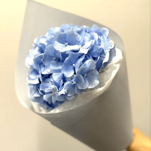 Букет «Голубая гортензия в упаковке»
