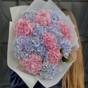 Букет из 15 гортензий