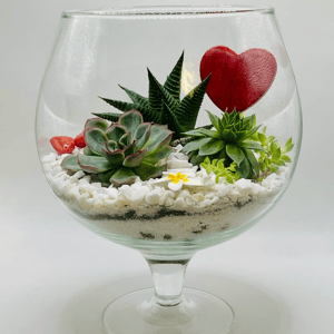 Сад в стекле Вместо тысячи слов