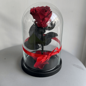 Роза в колбе мини красная