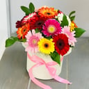 Гермини в коробке из гербер