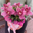 Шляпная коробка с орхидеей 1