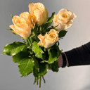 Букет из 5 кремовых роз