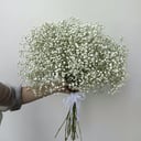 Гипсофилы цветы букет из 15 цветов