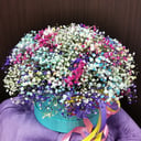 Коробка с цветами «Песнь соловья» из гипсофил