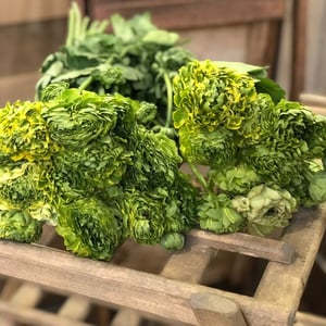 Букет из 25 ранункулюсов