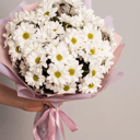 Моно букет из белой хризантемы