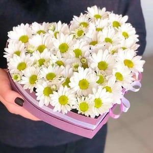 Коробка с цветами «Ромашковая любовь» из хризантем