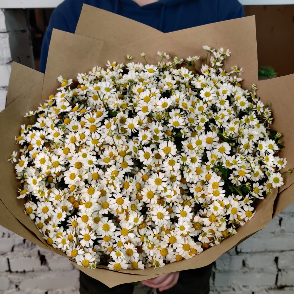 Букет «Искренность» из ромашек