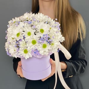 Ромашки в шляпной коробке из гипсофил