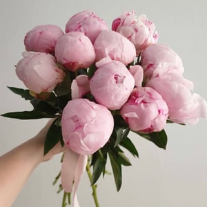 Букет «Анна Мария» из пионов