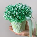 Композиция «Лаймовое ведёрко» из гипсофил