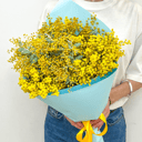 Букет из ароматной мимозы из тюльпанов