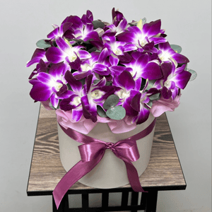 Орхидея Дендробиум в коробке M