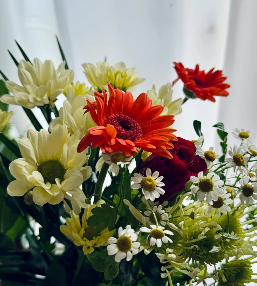 Daisies bouquet delivery