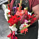 Букет «11 Гладиолусов Микс»