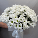 Моно букет из 11 хризантем