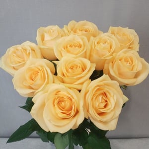 Букет «11 роз»