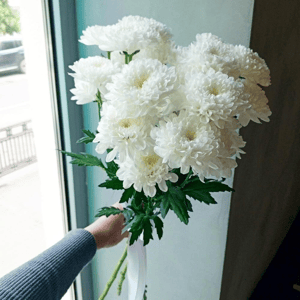 Букет «"Светлые чувства"» из хризантем